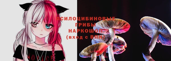 МДПВ Абаза