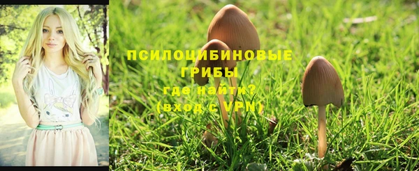 МДПВ Абаза