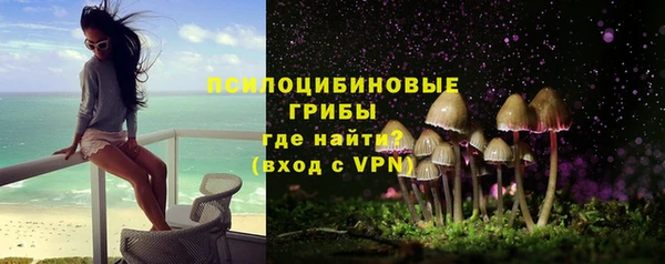 МДПВ Абаза