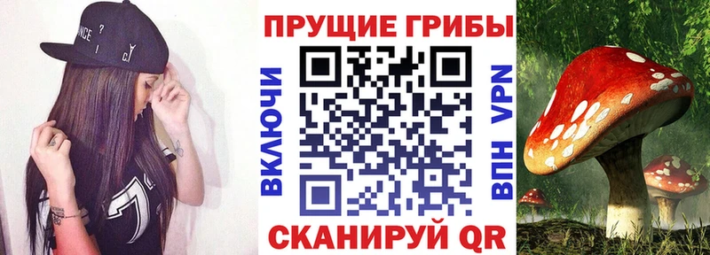 Галлюциногенные грибы мицелий  Ахтырский 
